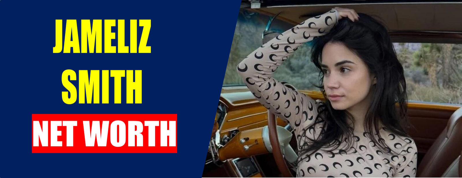 jameliz smith net worth