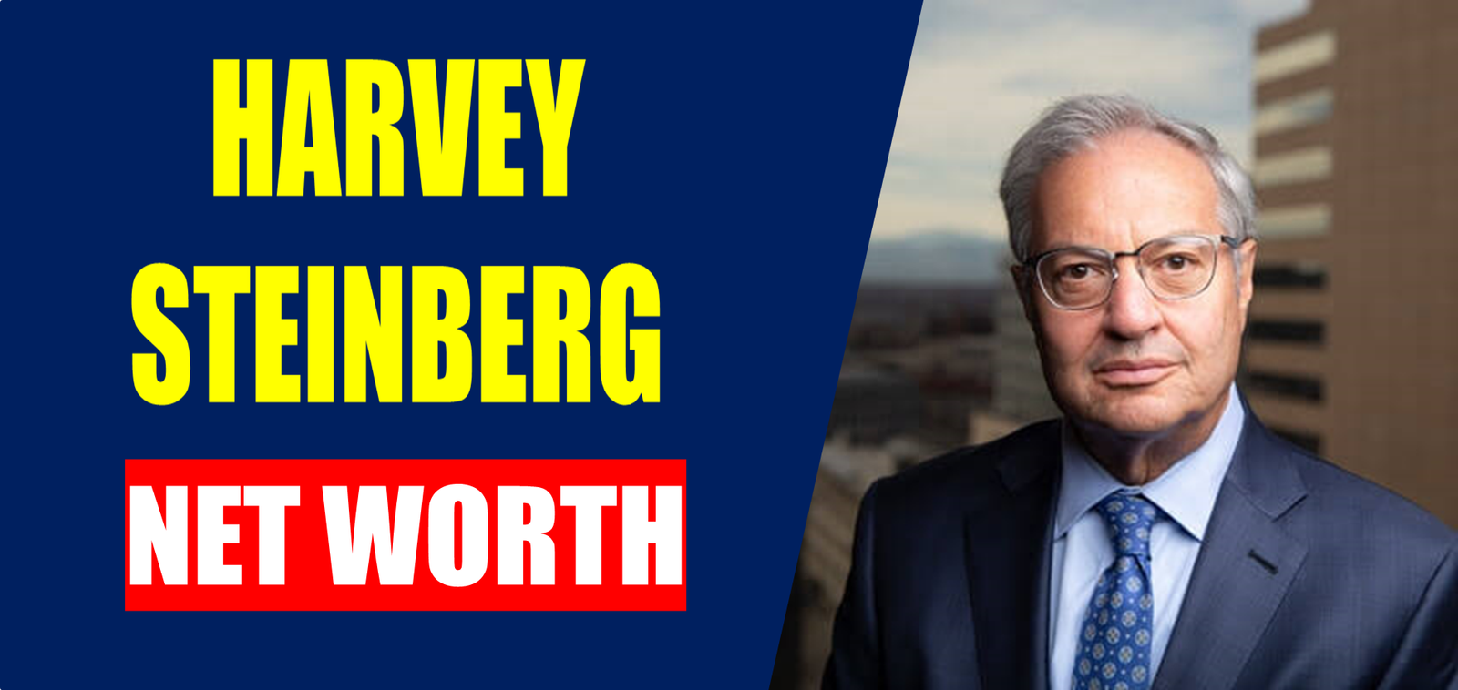 harvey steinberg net worth