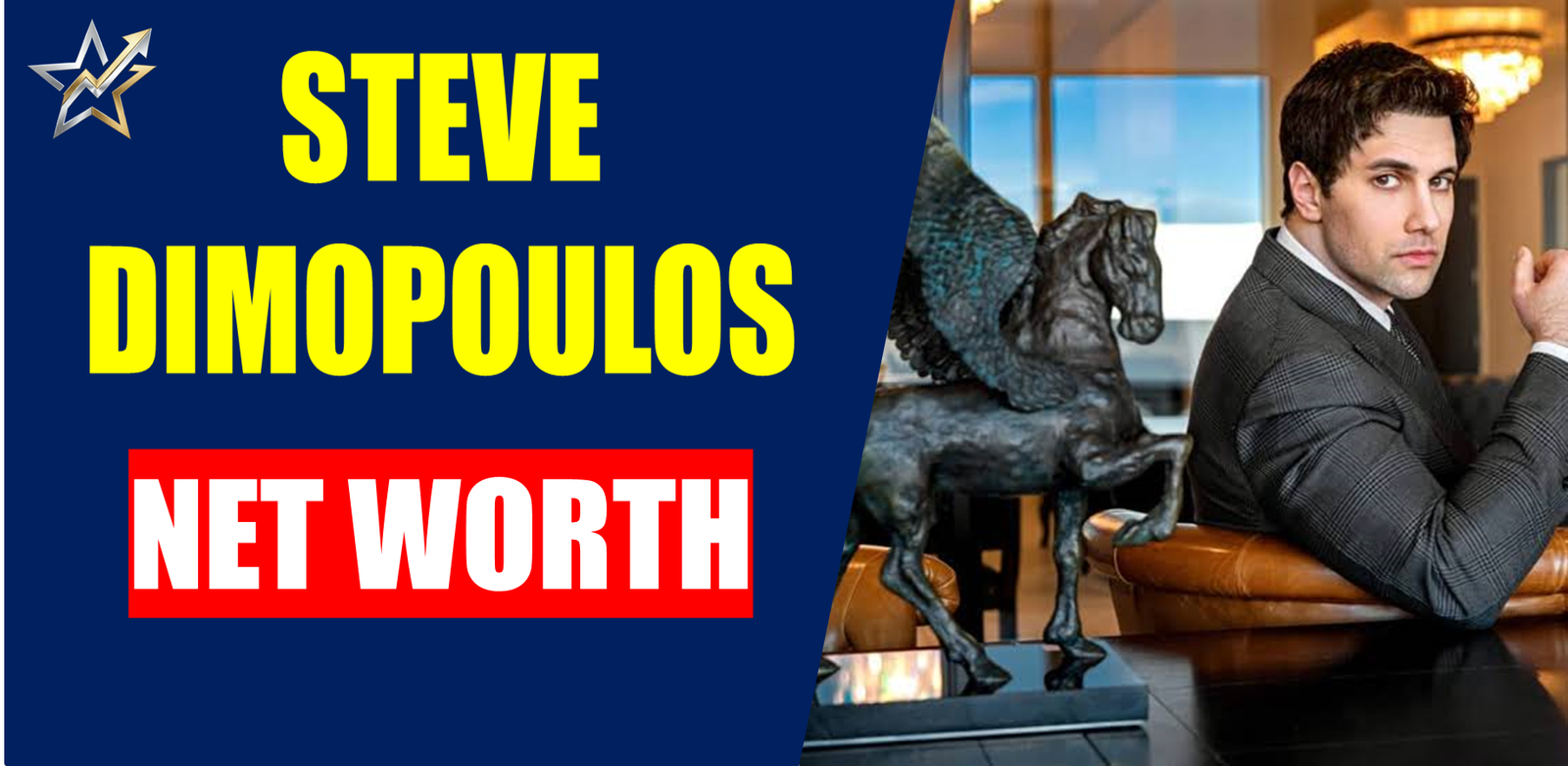 steve dimopoulos net worth